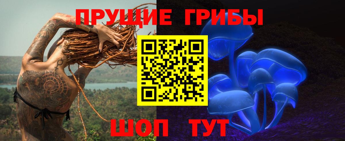 Псилоцибиновые грибы прущие грибы  Псилоцибиновые грибы мухоморы  Вход с VPN  сколько стоит  Алушта 